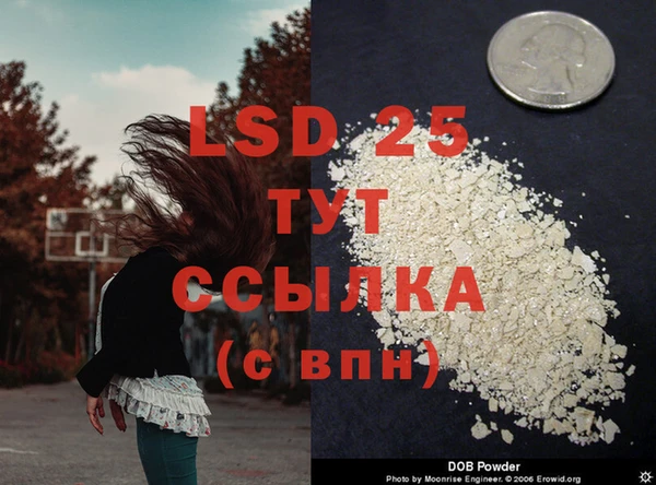 MDMA Пересвет