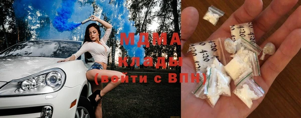 индика Осташков