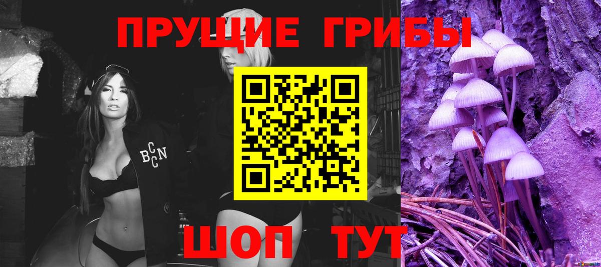 Комсомольск-на-Амуре  Псилоцибиновые грибы мицелий  Вход с VPN 