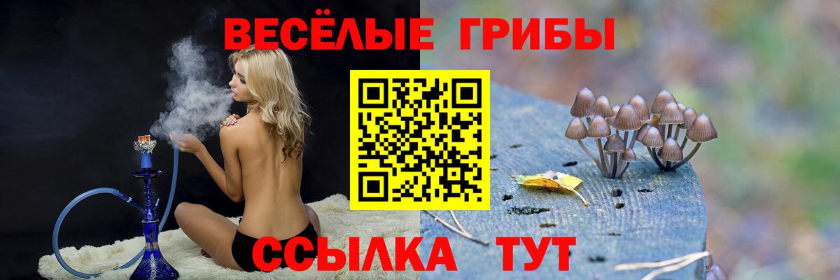 Галлюциногенные грибы Cubensis Комсомольск-на-Амуре